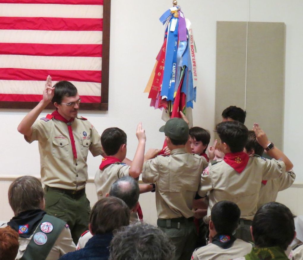 New Scouts